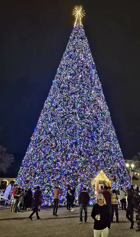 A large, brightly lit Christmas tree at night with many people gathered around it. The tree is covered in multicolored…