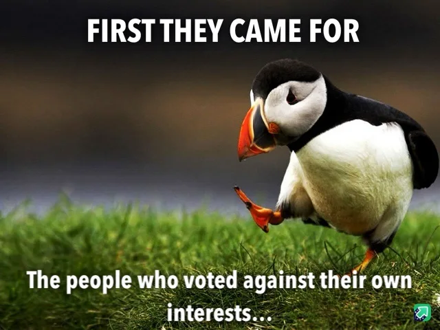 A photograph of a puffin standing on green grass, looking down with one foot lifted. White text at the top reads 'FIRST THEY…