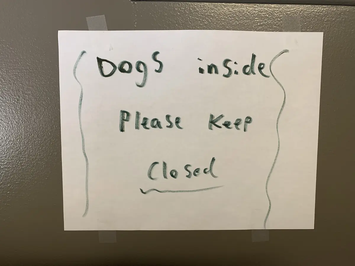 A handwritten sign taped to a door or surface reads 'Dogs inside Please Keep Closed' in green marker, with wavy lines drawn…