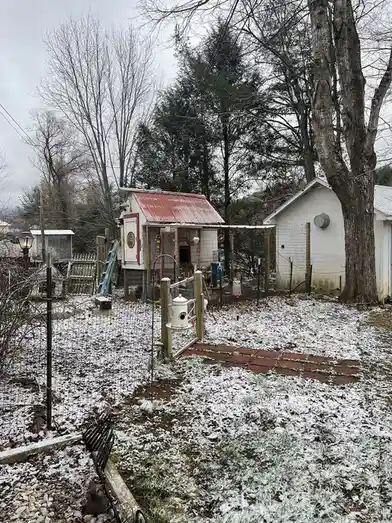 Momma's backyard: A hidden paradise