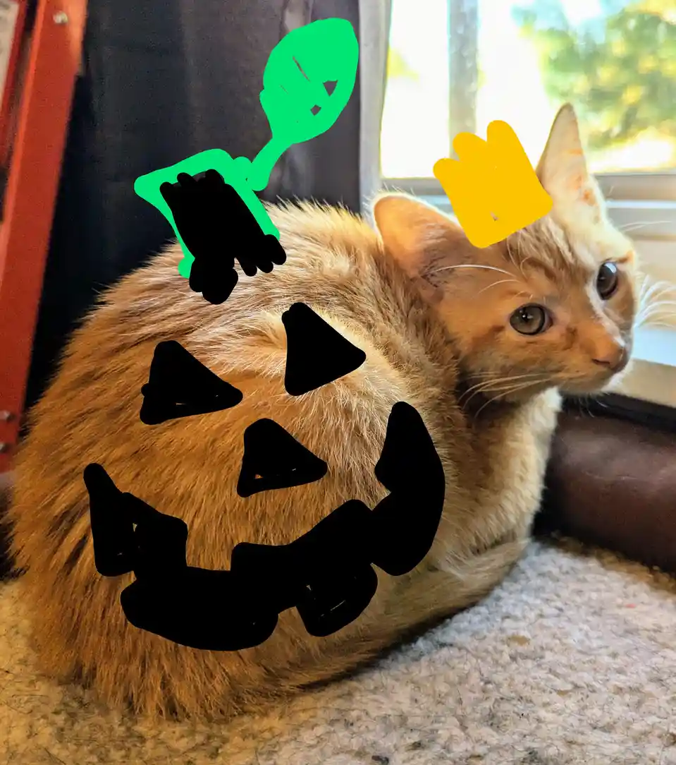 An orange tabby cat is lying on a carpeted floor near a window, with a black jack-o'-lantern face drawn over its body, a…