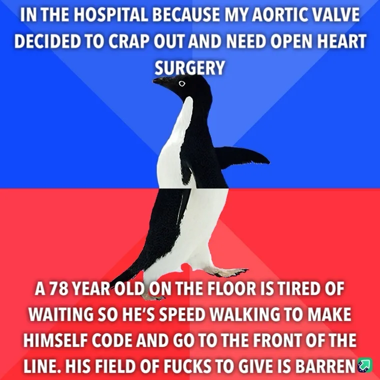 A penguin stands against a blue and red background with white text overlaid. The top text reads 'IN THE HOSPITAL BECAUSE MY…