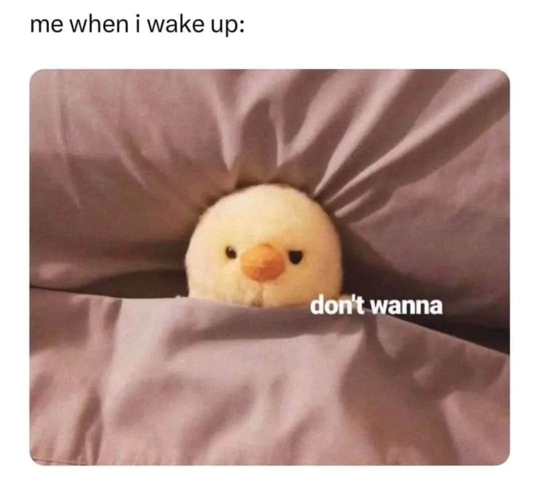 A small, fluffy yellow chick plush toy peeks out from under a rumpled, light purple blanket, with a sleepy, reluctant…