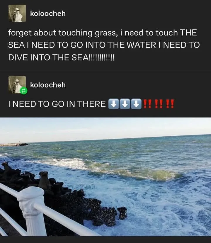 A screenshot of a social media post by 'koloocheh' shows a person expressing intense desire to go into the sea, with text…