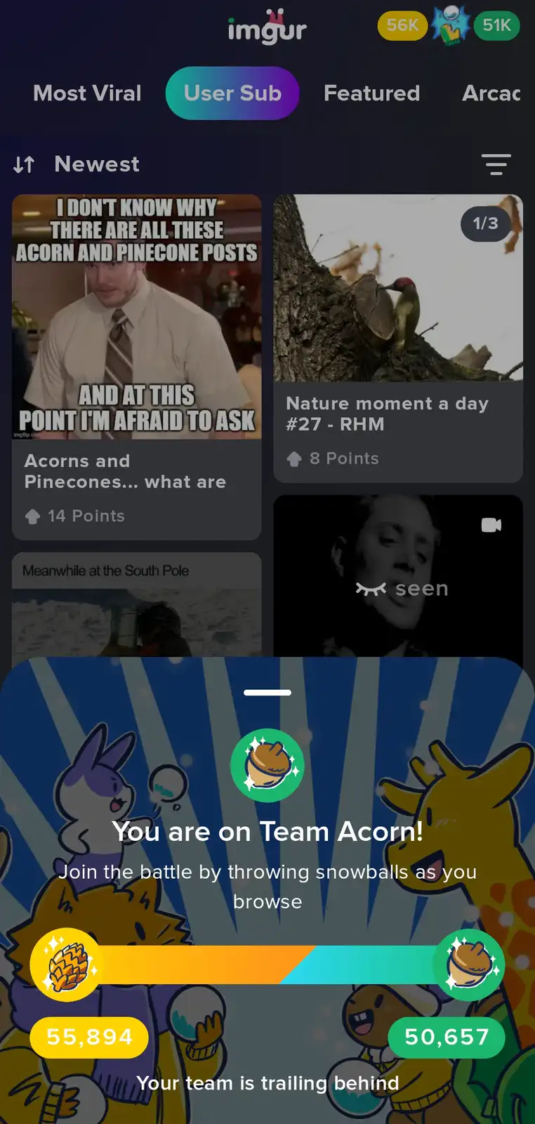 An Imgur screenshot shows a user interface for a 'Team Acorn' vs 'Team Pinecone' battle, with cartoon animals and score…