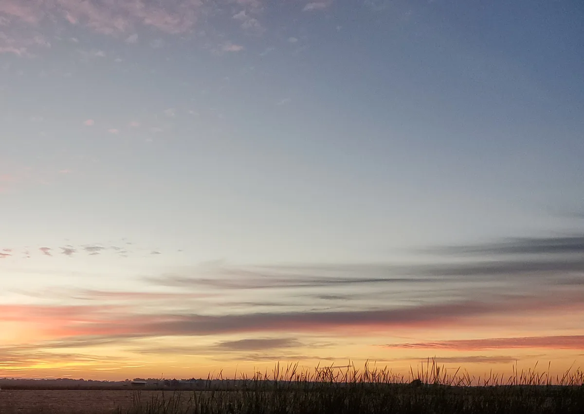 A serene landscape photo of a sunset or sunrise over a field with tall grass in the foreground, featuring a gradient sky…