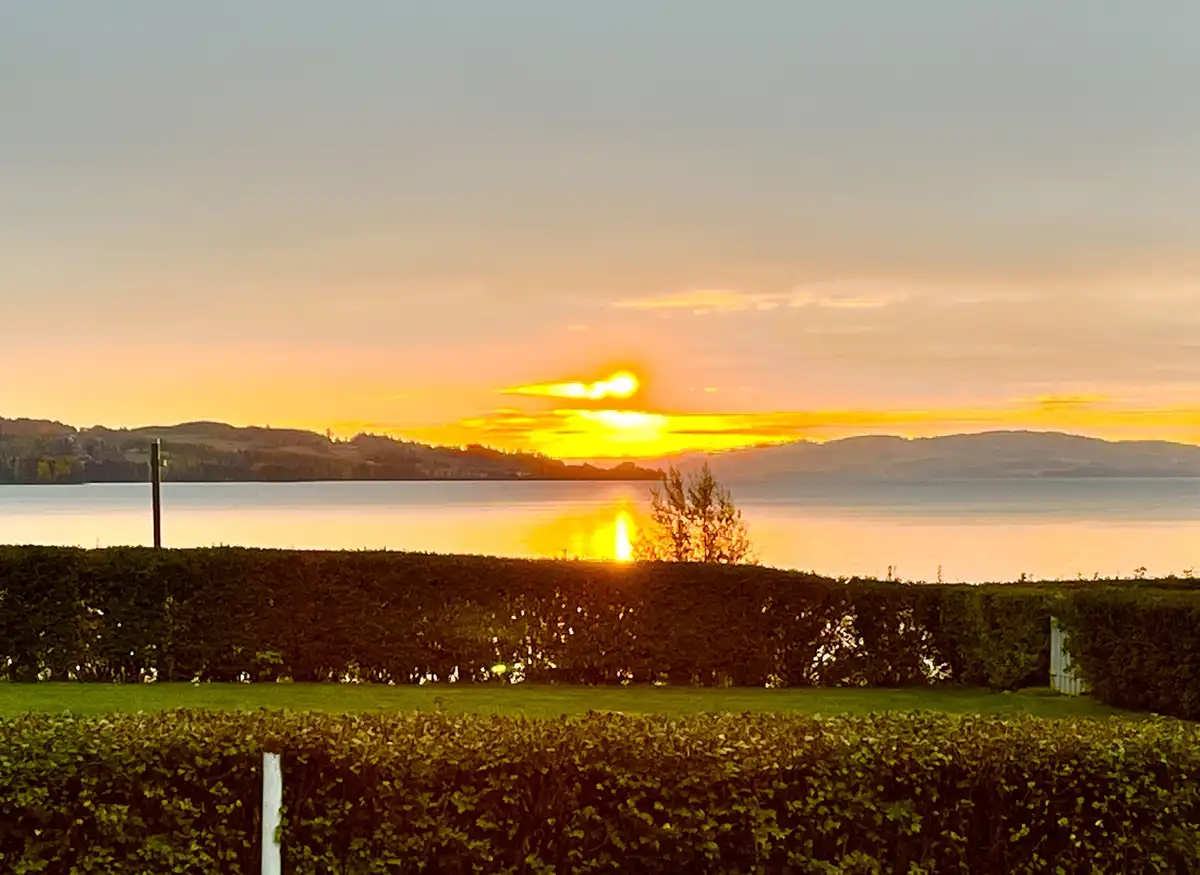 A serene sunset over a calm body of water with distant hills, framed by green hedges in the foreground. The sun is low on…