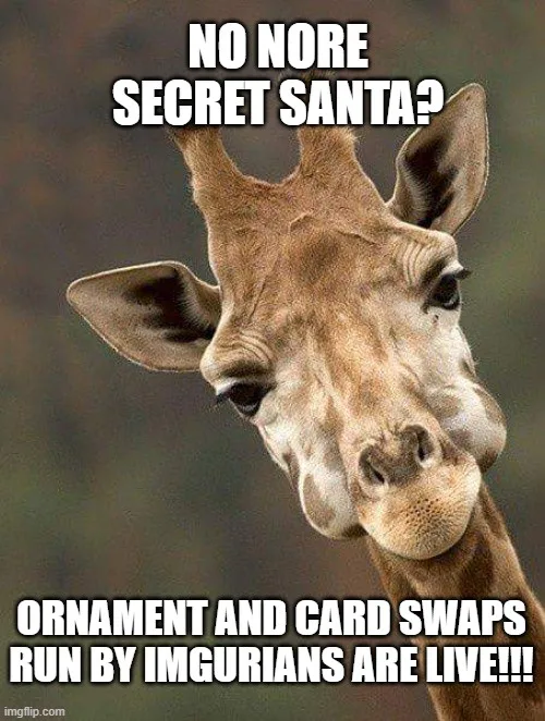 Get ready! 2024 ornament and card swaps are officially open!