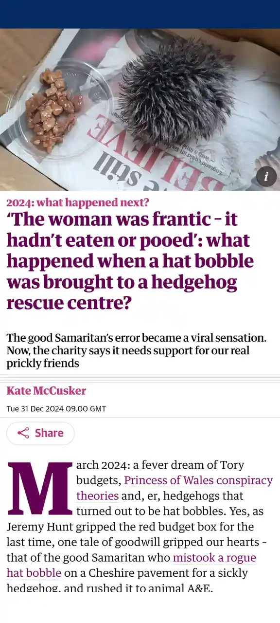 A hedgehog is shown with a black, fuzzy hat bobble on its head, next to a small container of food, overlaid with a news…