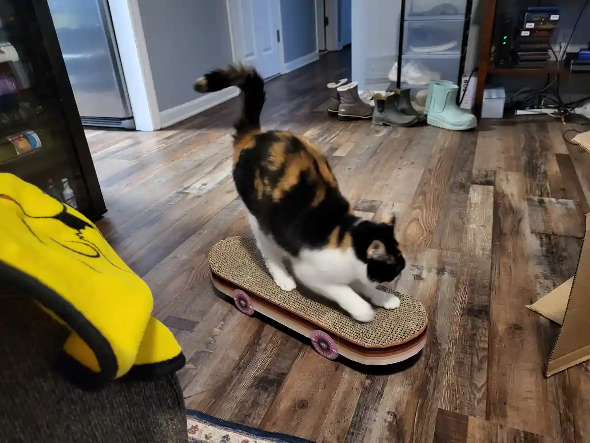 A calico cat with black, orange, and white fur is balancing on a cat-sized skateboard with pink wheels on a wooden floor…