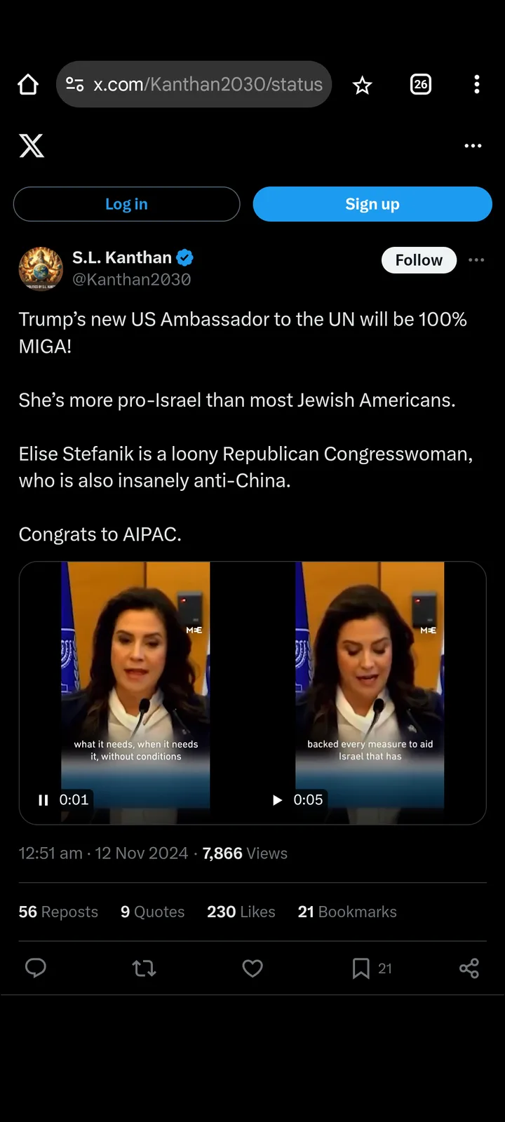 The Charming US Ambassador to the UN