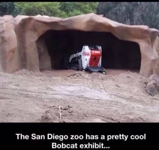 A white and red Bobcat compact track loader is stuck inside a large, artificial cave-like structure made of brown dirt and…