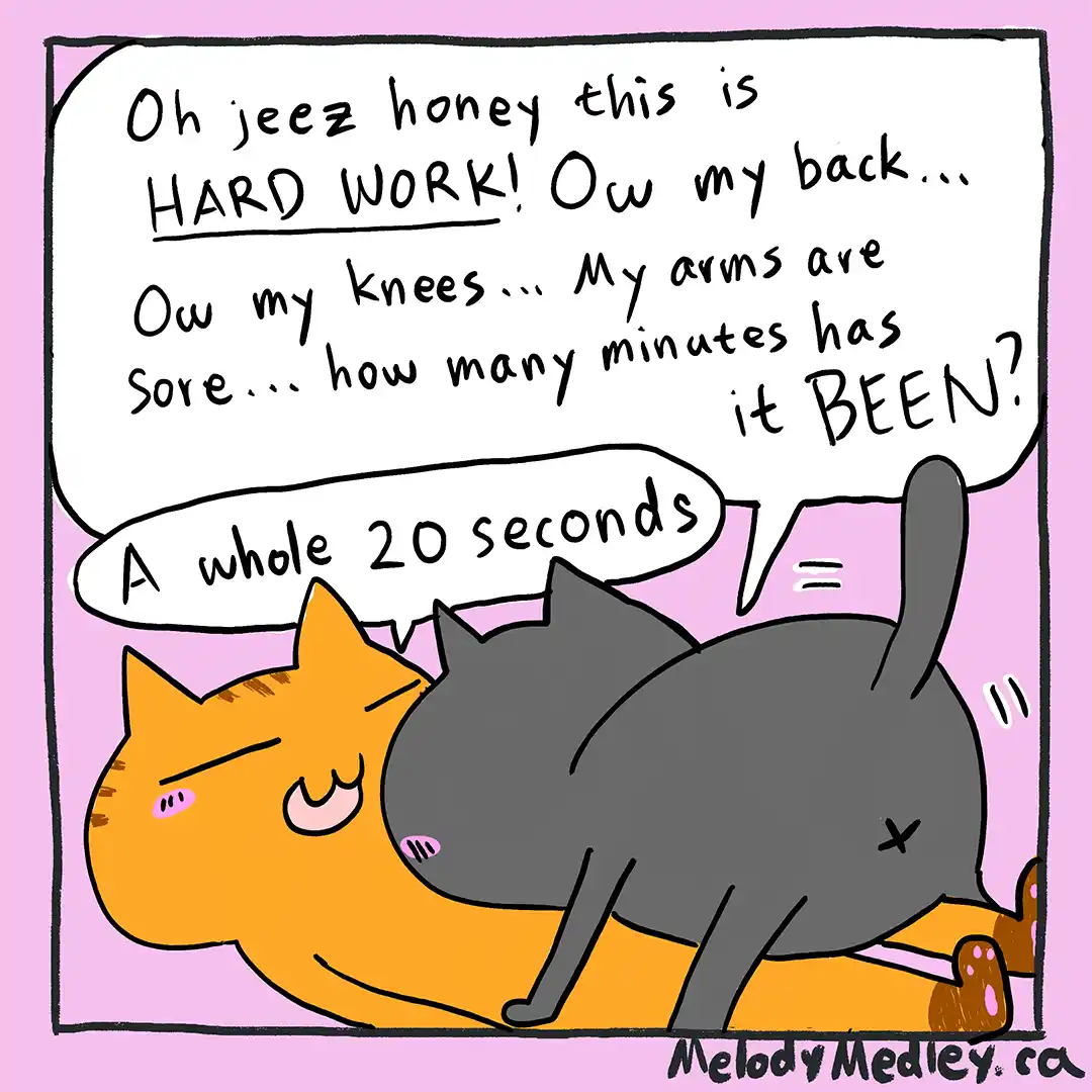 Two cartoon cats are shown; a gray cat is dramatically complaining about physical exhaustion and asking how long it's been…