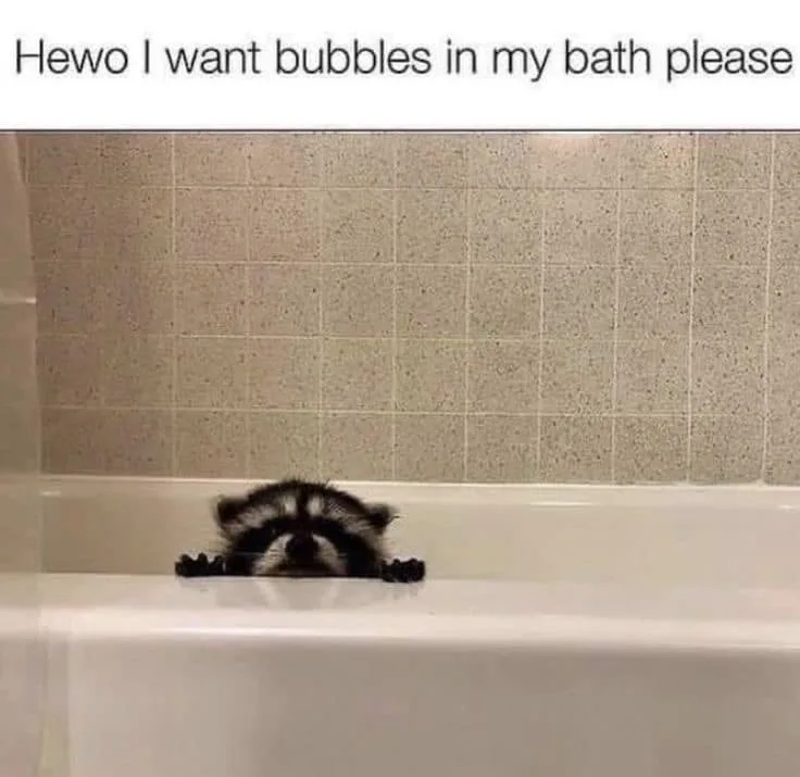 A raccoon is peeking over the edge of a white bathtub, looking up with its face visible. The background shows beige tiled…