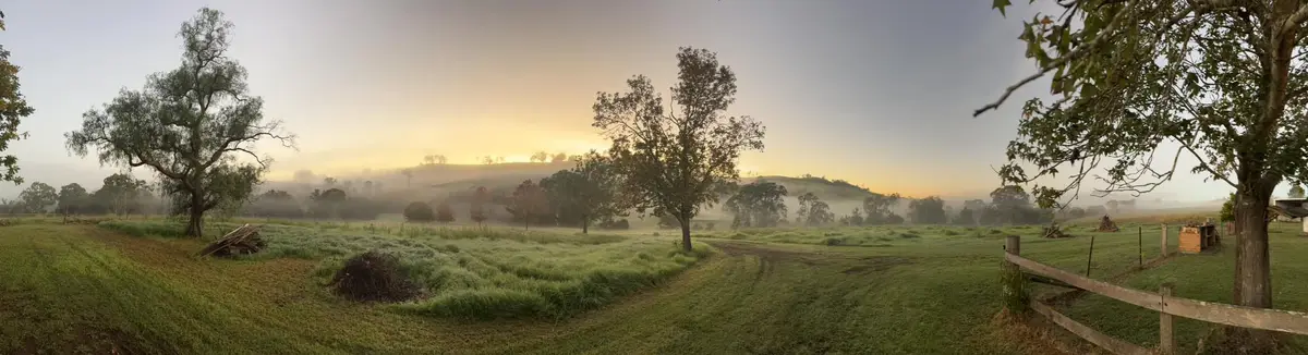 A serene, wide-angle photo of a misty rural landscape at dawn, featuring rolling green hills, scattered trees, a dirt path…
