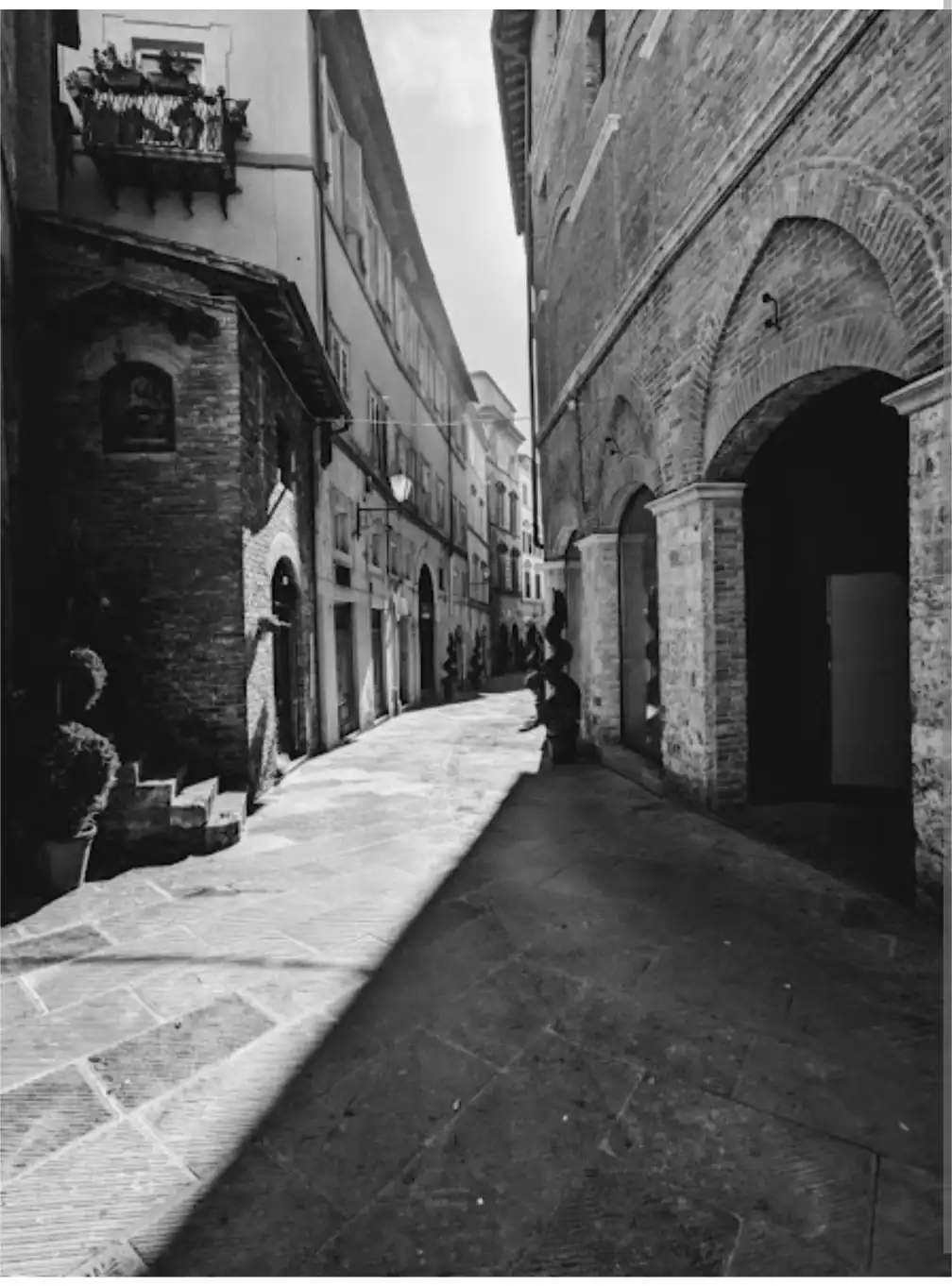 Discovering the Charm of Roma