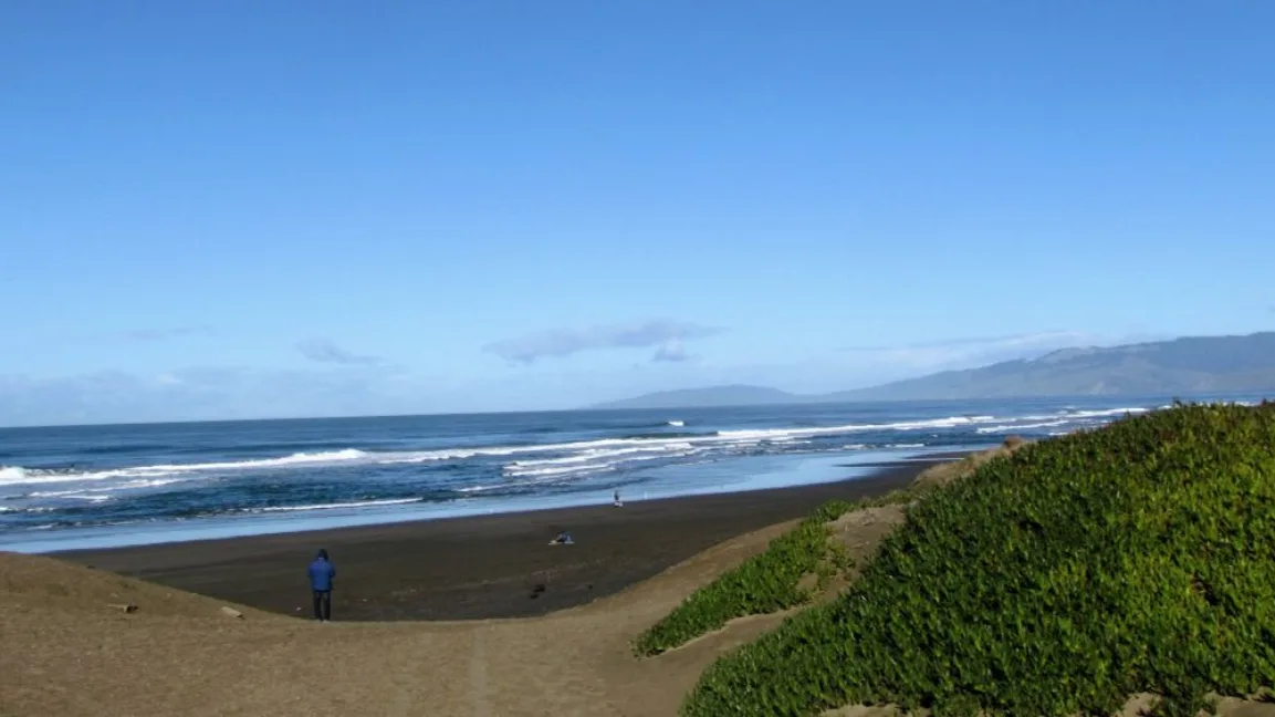 A wide beach scene with a person in a blue jacket standing alone on dark sand, facing the ocean under a clear blue sky…