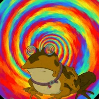 A six-panel comic strip featuring a cartoon frog with a purple collar against a psychedelic rainbow spiral background. The…