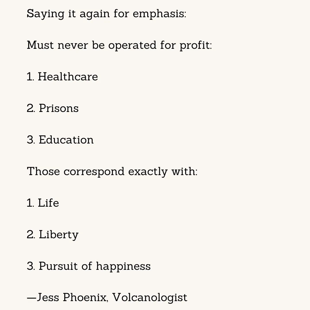 A plain text image lists three public services—healthcare, prisons, and education—that must never be operated for profit…