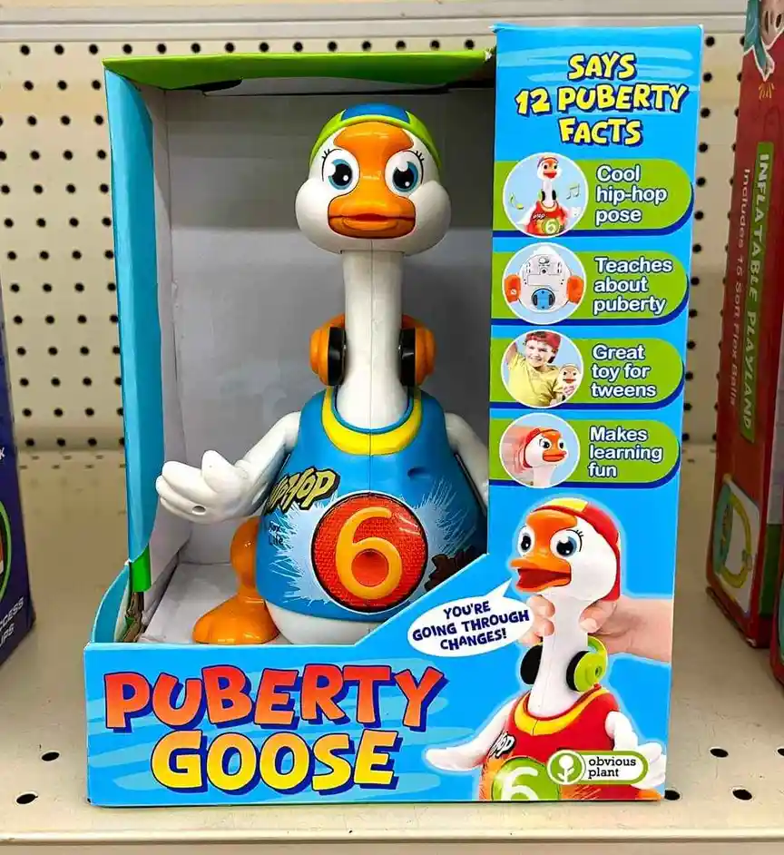 The Hilarious Pooburdy Goose
