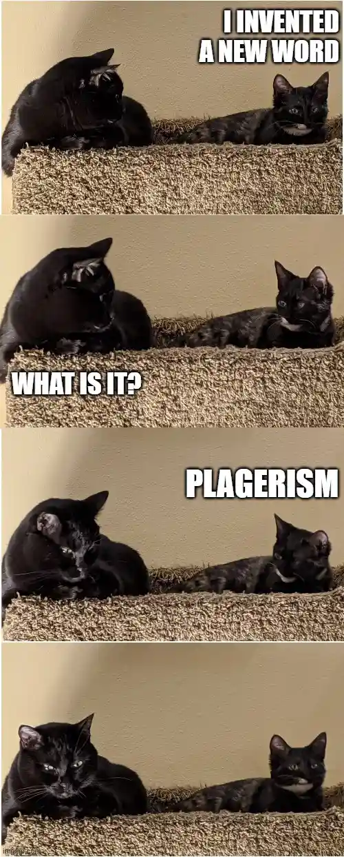A four-panel meme featuring two black cats on a carpeted surface. In the first panel, one cat declares 'I INVENTED A NEW…