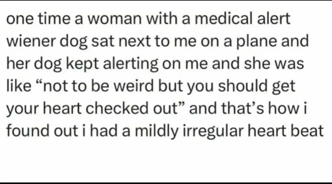 The image is a plain white background with black text telling a story about a woman with a medical alert wiener dog on a…