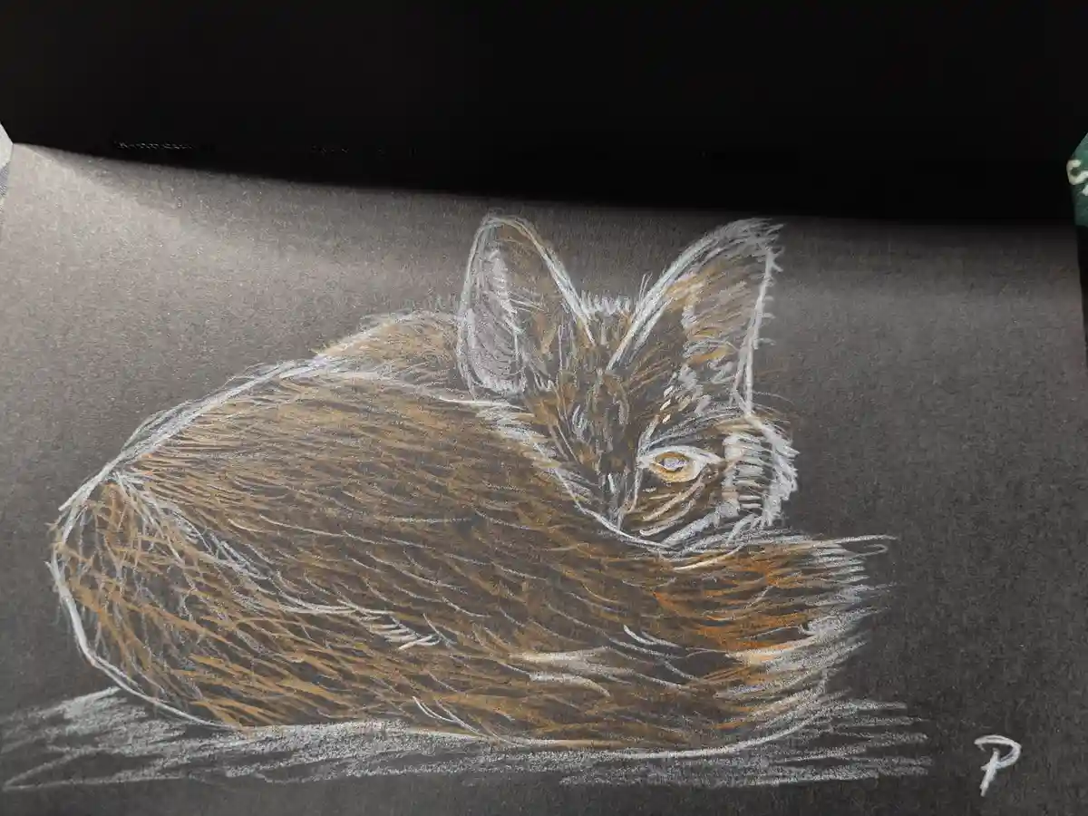 A detailed chalk drawing of a cat curled up and sleeping on dark paper, with white and brown chalk strokes creating fur…