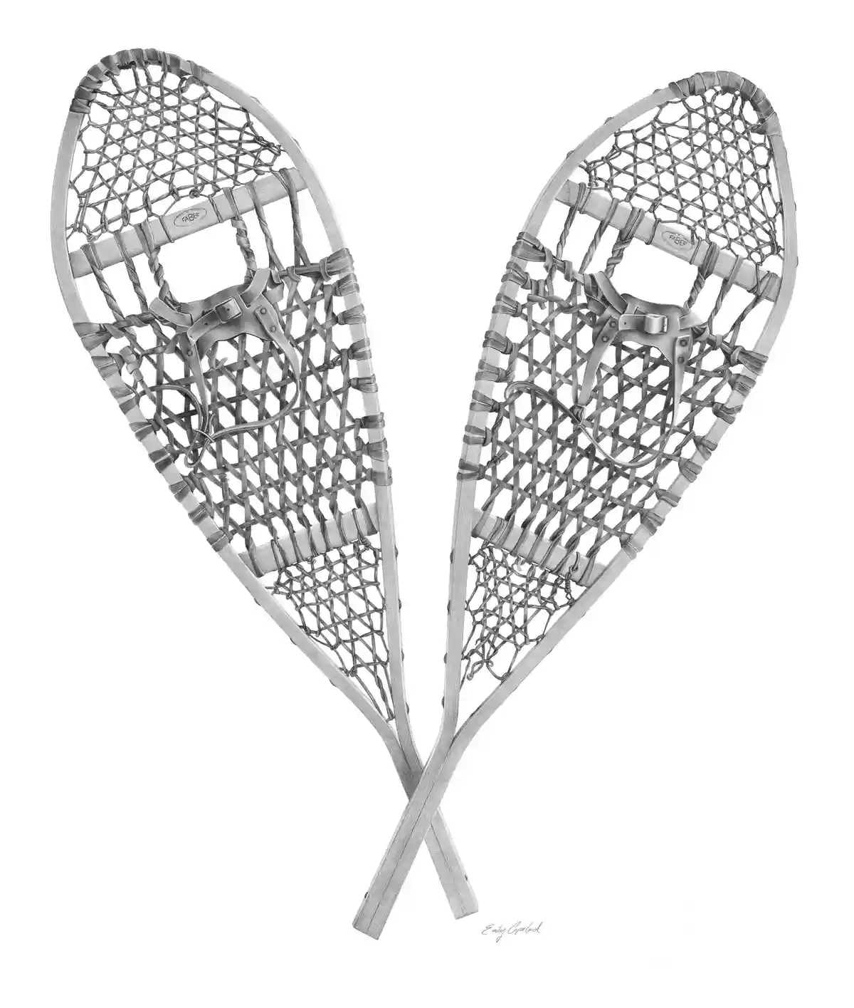 A detailed pencil drawing shows a pair of vintage wooden snowshoes with woven webbing and leather straps, crossed at the…