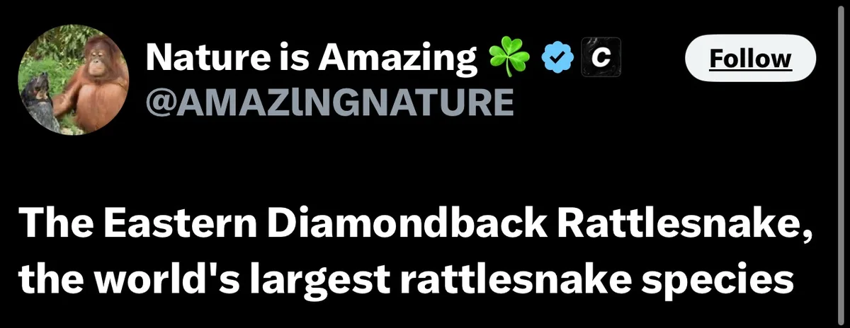 A screenshot of a Twitter post from the verified account 'Nature is Amazing' featuring a profile picture of an orangutan…