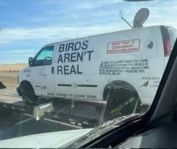 A white van with bird-themed conspiracy theories printed on its side is shown with its front end smashed into a barrier…