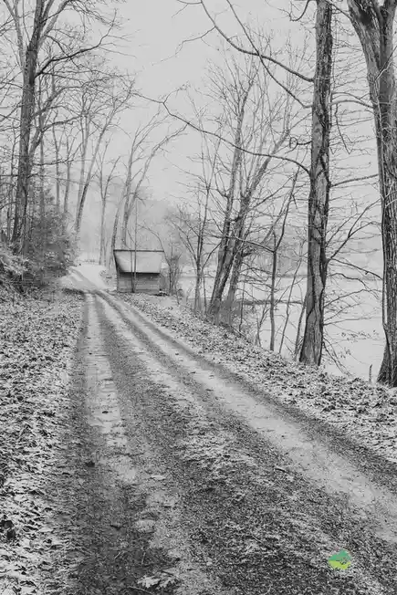 A black-and-white photo shows a muddy, winding dirt road through a leafless forest, leading to a small wooden cabin near a…