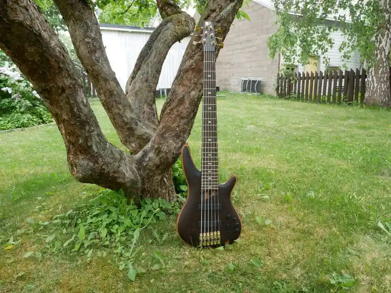a dark-finished electric guitar with gold hardware is leaning against the thick, gnarled trunk of a tree in a grassy yard…