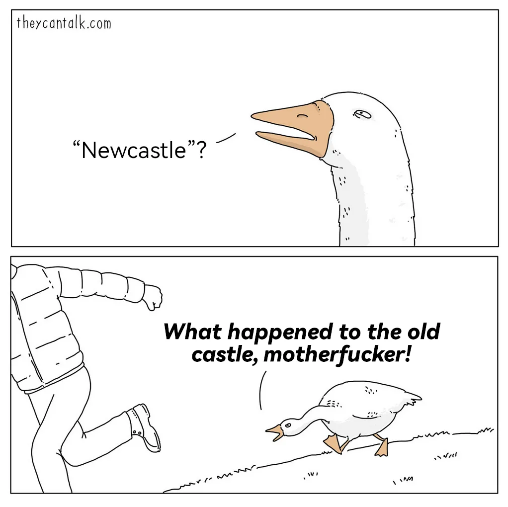 A two-panel comic strip from theycantalk.com shows a goose asking 'Newcastle?' in the first panel. In the second panel, the…