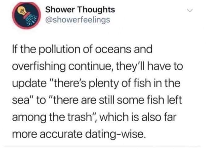 A screenshot of a tweet from the account 'Shower Thoughts' (@showerfeelings) with a lightbulb icon. The text humorously…