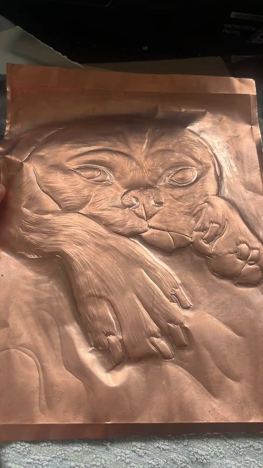 A hand holds up a copper sheet with a detailed embossed relief of a cat's face and paws, showing textured fur and expressive…