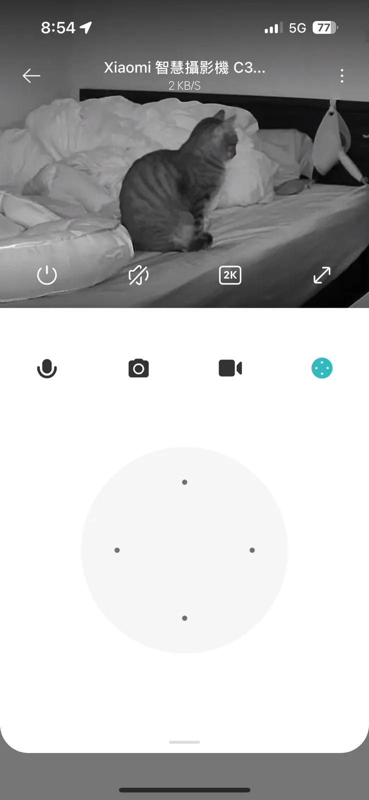 A black and white security camera feed from a Xiaomi smart camera shows a tabby cat sitting on a bed with rumpled white…