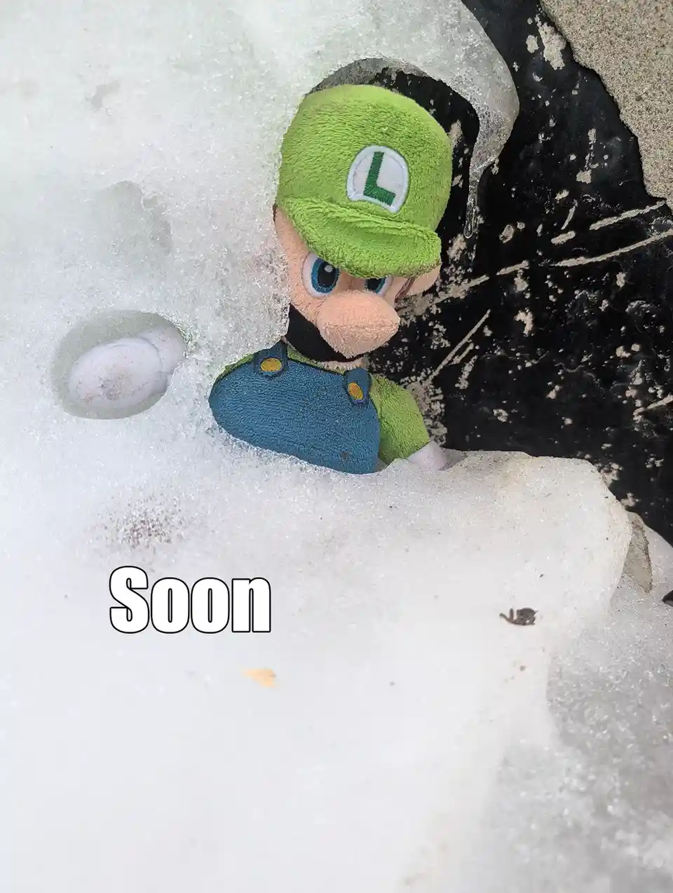 A plush Luigi toy is partially encased in a large chunk of ice, with only his head and one gloved hand visible through a…