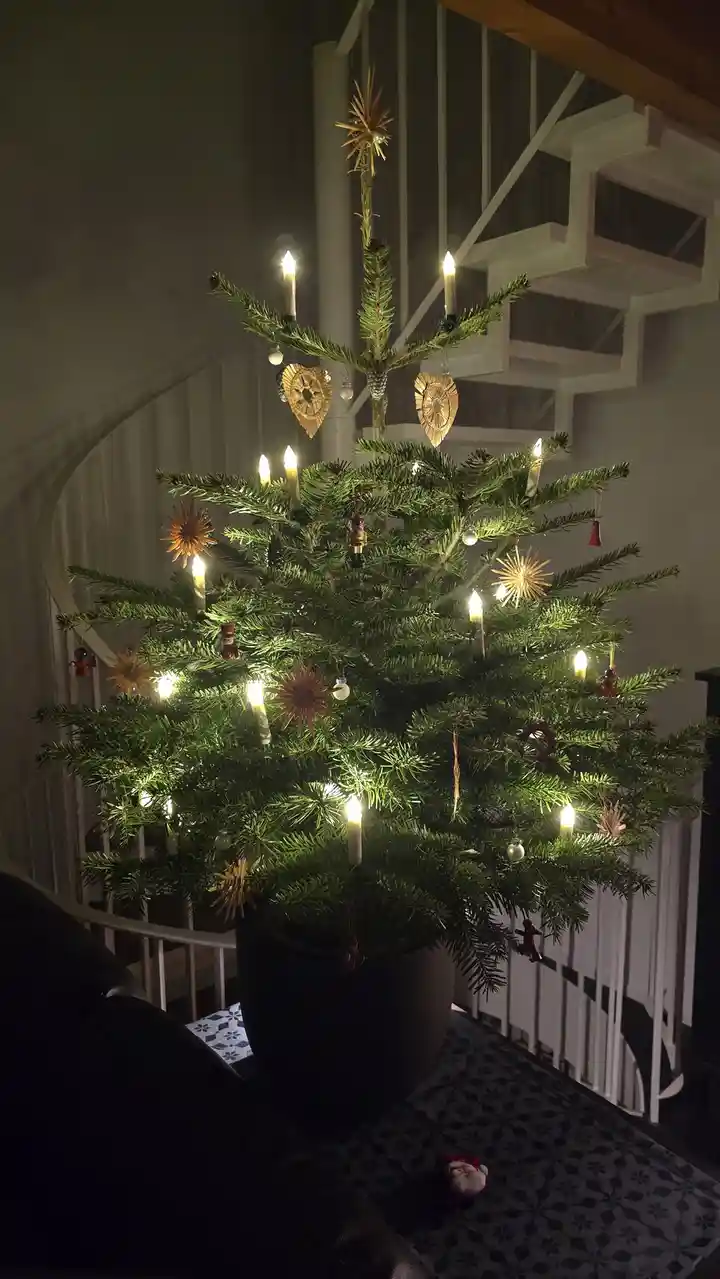 A potted evergreen tree decorated with lit candle-style lights, star-shaped ornaments, and small figurines, positioned in…