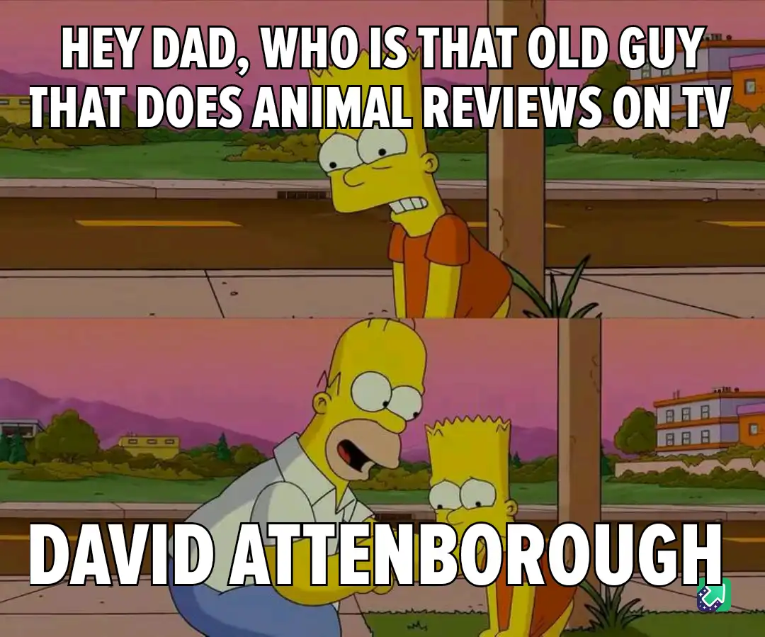 The image is a two-panel meme featuring Bart Simpson asking his father, Homer, who a TV presenter is. In the top panel, Bart…