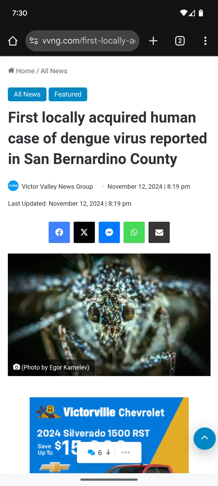 A screenshot of a Victor Valley News Group article from November 2024, reporting the first locally acquired dengue virus…