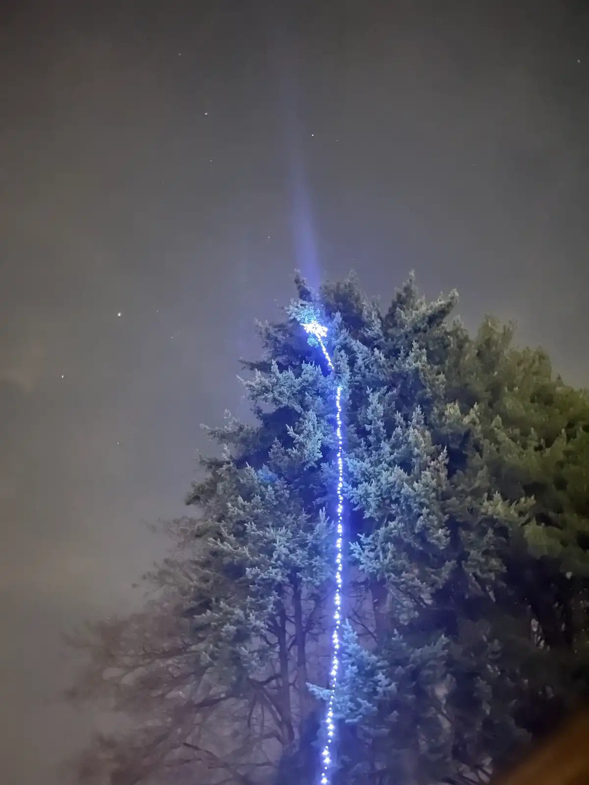 A tall evergreen tree covered in frost is illuminated by a vertical string of bright blue lights running from its base to…