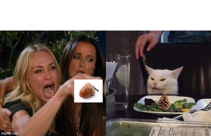 The image is a split-screen meme. On the left, two women from 'Friends' are reacting with exaggerated shock and disgust…
