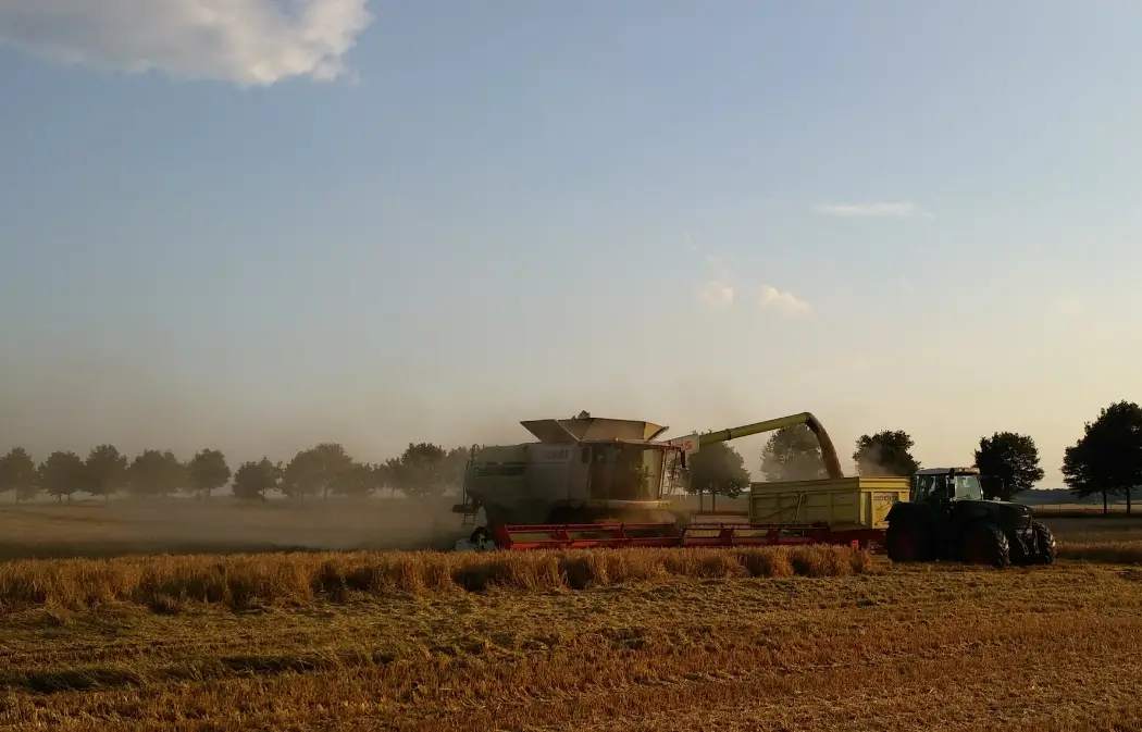 A combine harvester is actively unloading grain into a trailer pulled by a tractor in a golden-hued field at sunrise or…