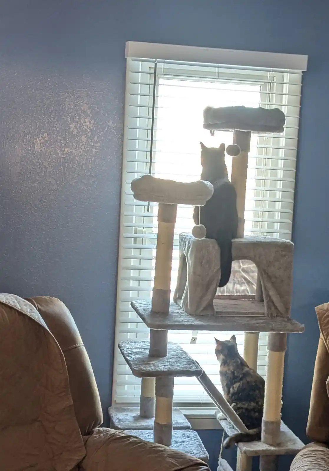 Two cats are on a multi-level cat tree in front of a window with white blinds; one dark cat sits atop the highest platform…