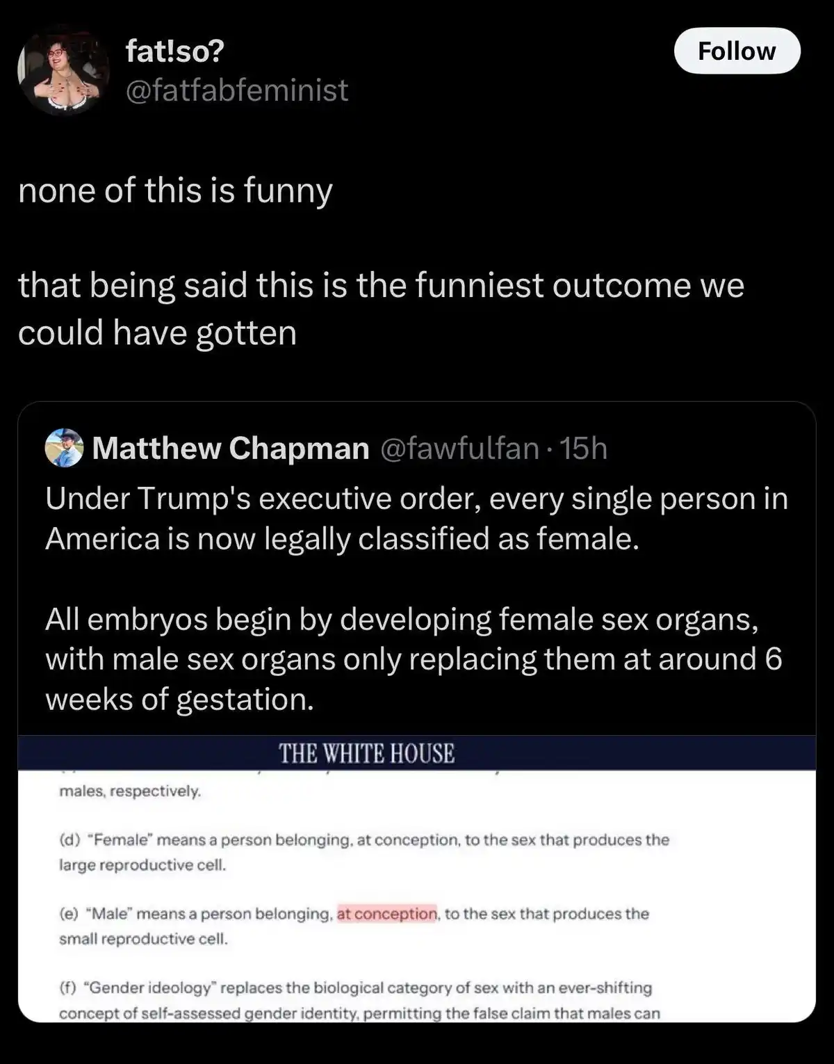A screenshot of a tweet by 'fat!so?' replying to a tweet by Matthew Chapman. Chapman's tweet claims Trump's executive order…