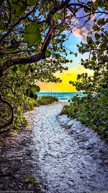 The Scenic Route to the Beach Awaits