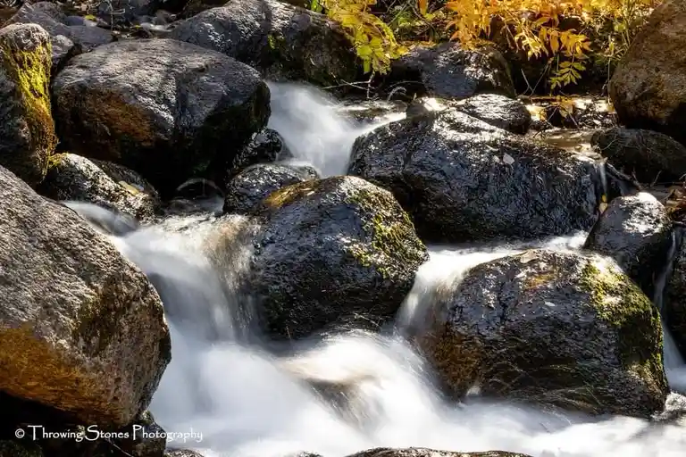 A serene photograph of a stream flowing over dark, moss-covered rocks with autumn leaves in the background. The water…