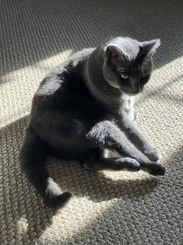 Daily Snick Pic #88: A Snapshot of Joy