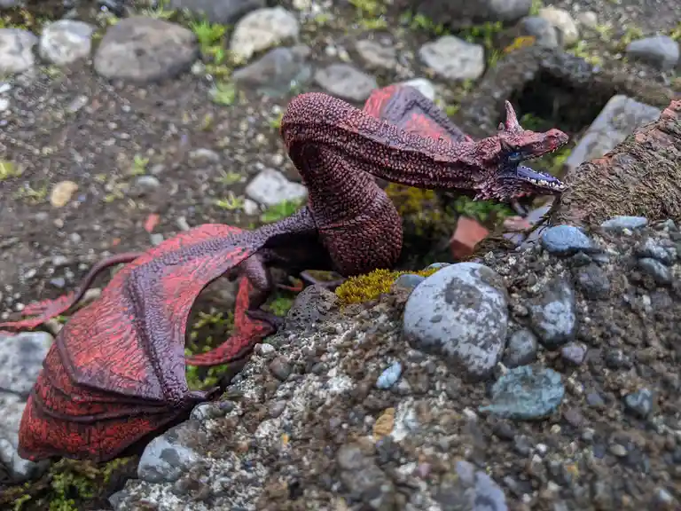 Capturing the Essence of ASOIAF Through Photography
