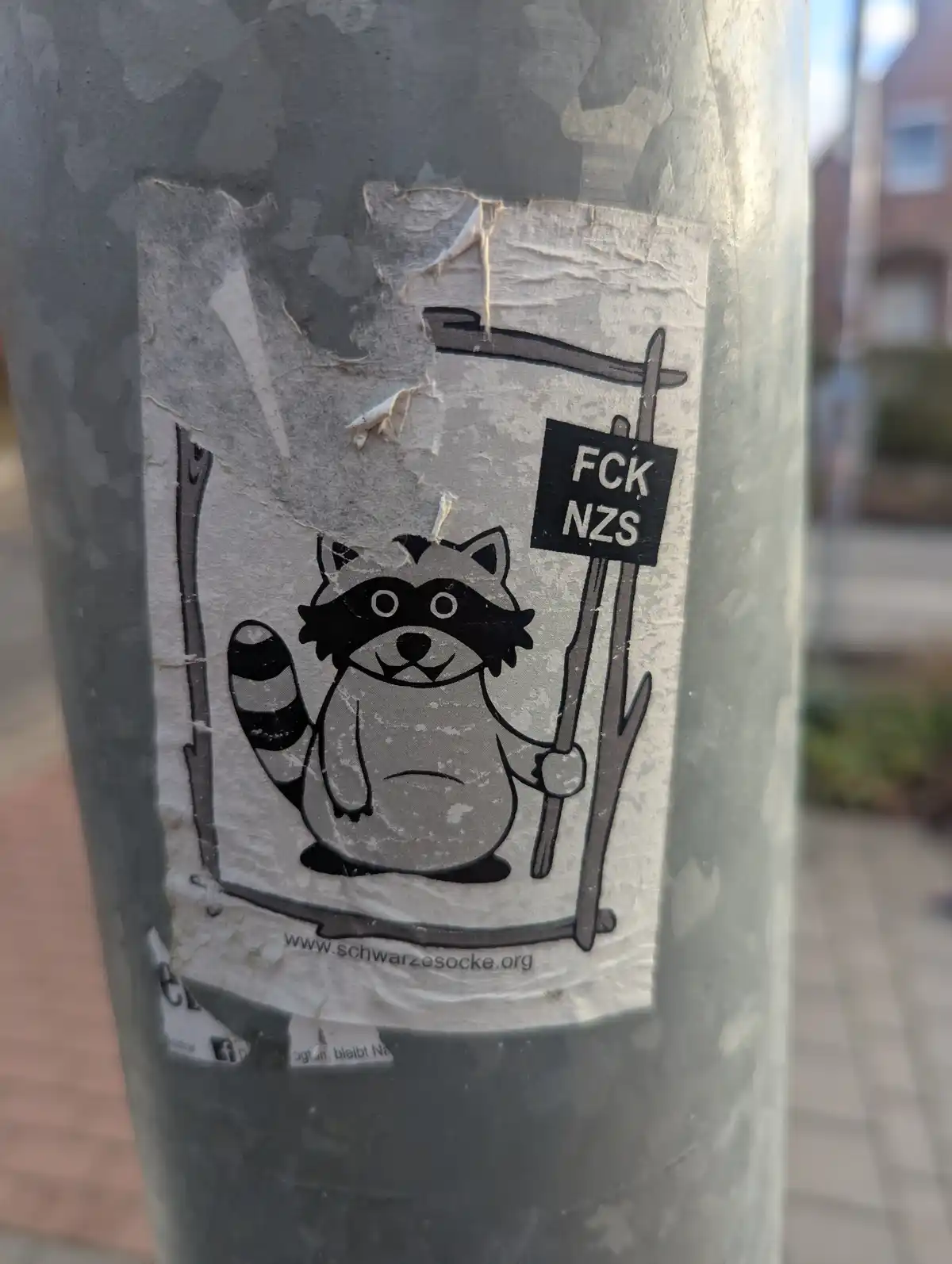 A weathered sticker on a gray metal pole shows a cartoon raccoon holding a sign that reads 'FCK NZS'. The raccoon is…